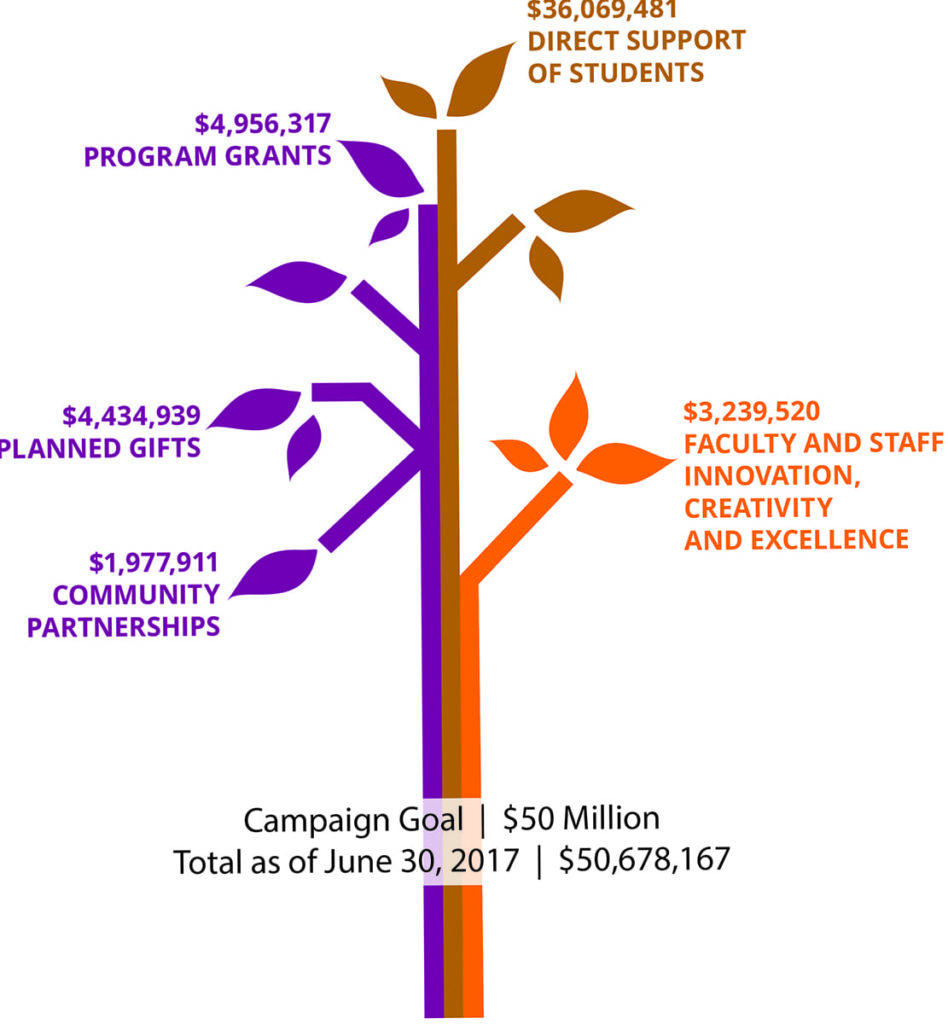 Goal Chart for Campaign for Student Success